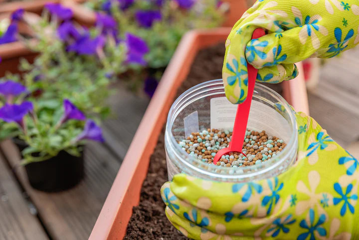 How to best fertilize hanging baskets