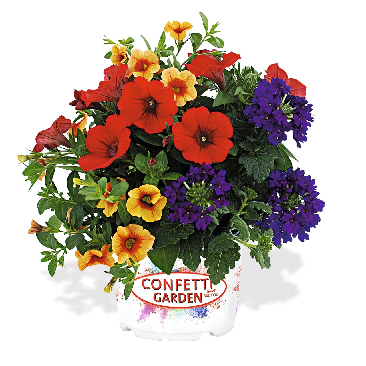 Mixed Hanging Basket (Jumbo Basket)