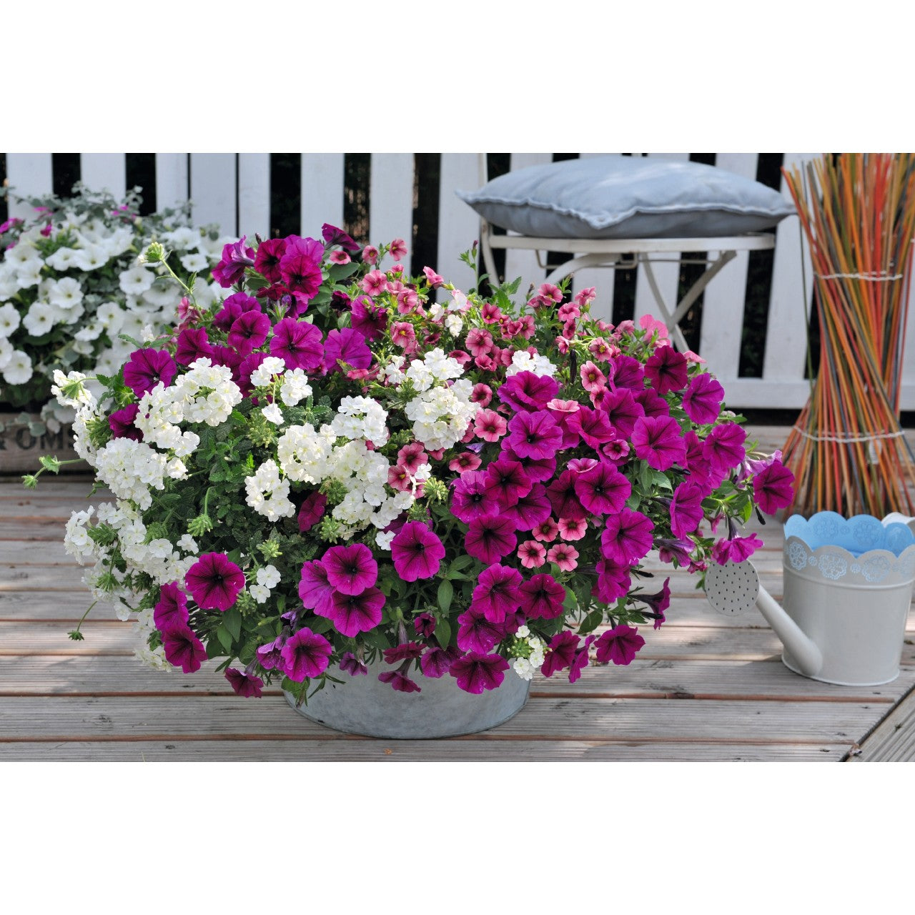 Mixed Hanging Basket (Jumbo Basket)