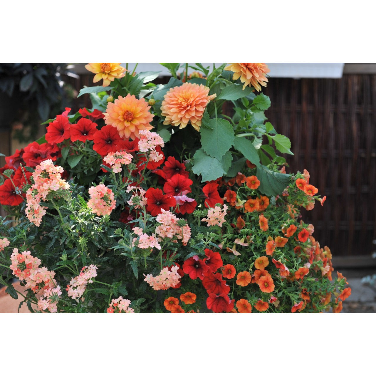 Mixed Planter (12" Pot)