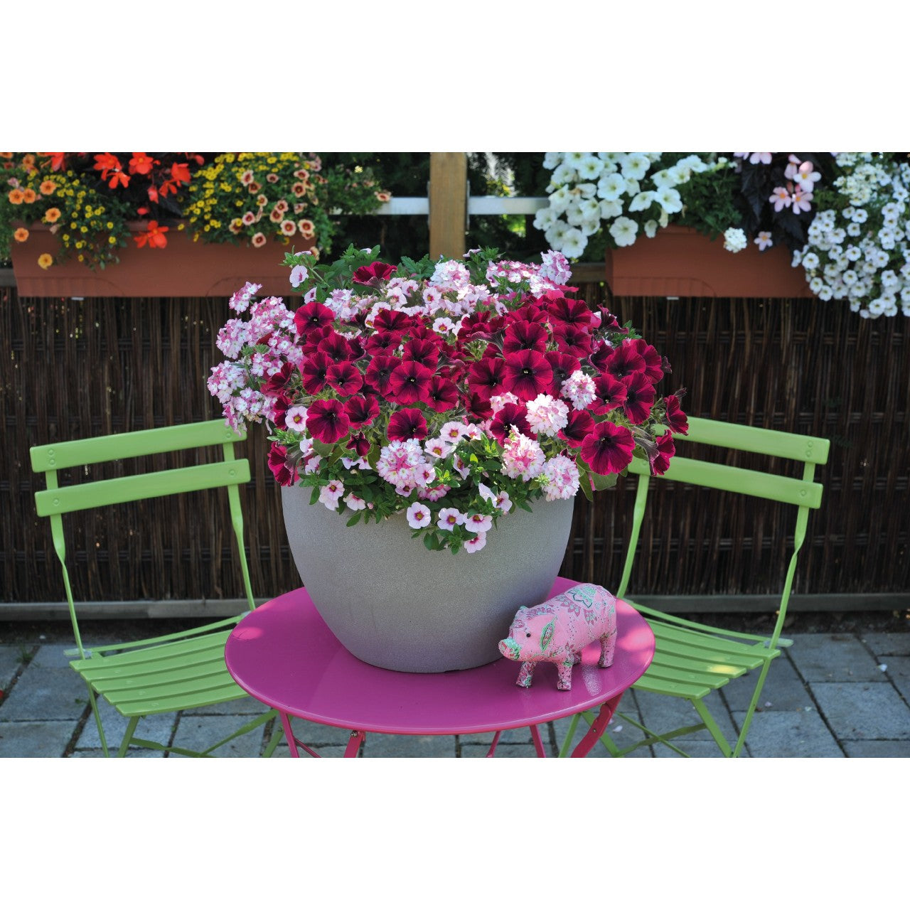 Mixed Hanging Basket (Jumbo Basket)