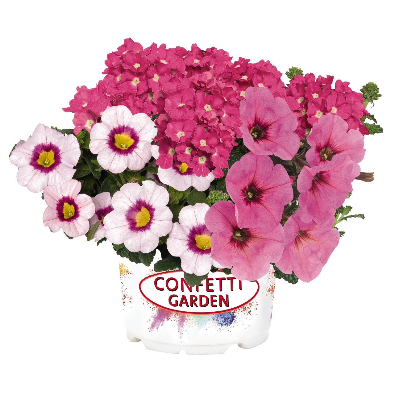 Mixed Hanging Basket (12")