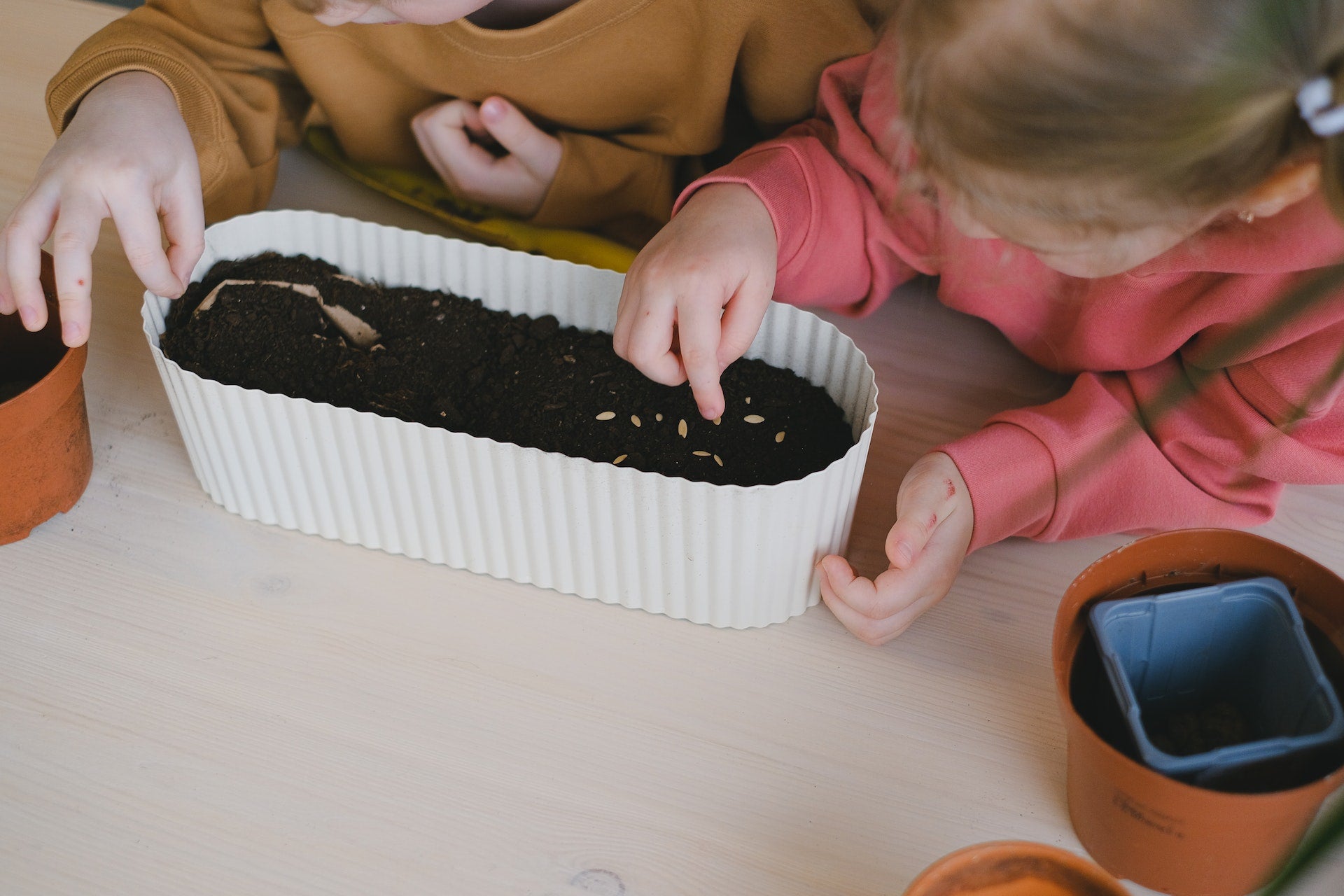 Winter Wonderland: Fun Gardening Projects and Activities to Enjoy with Kids