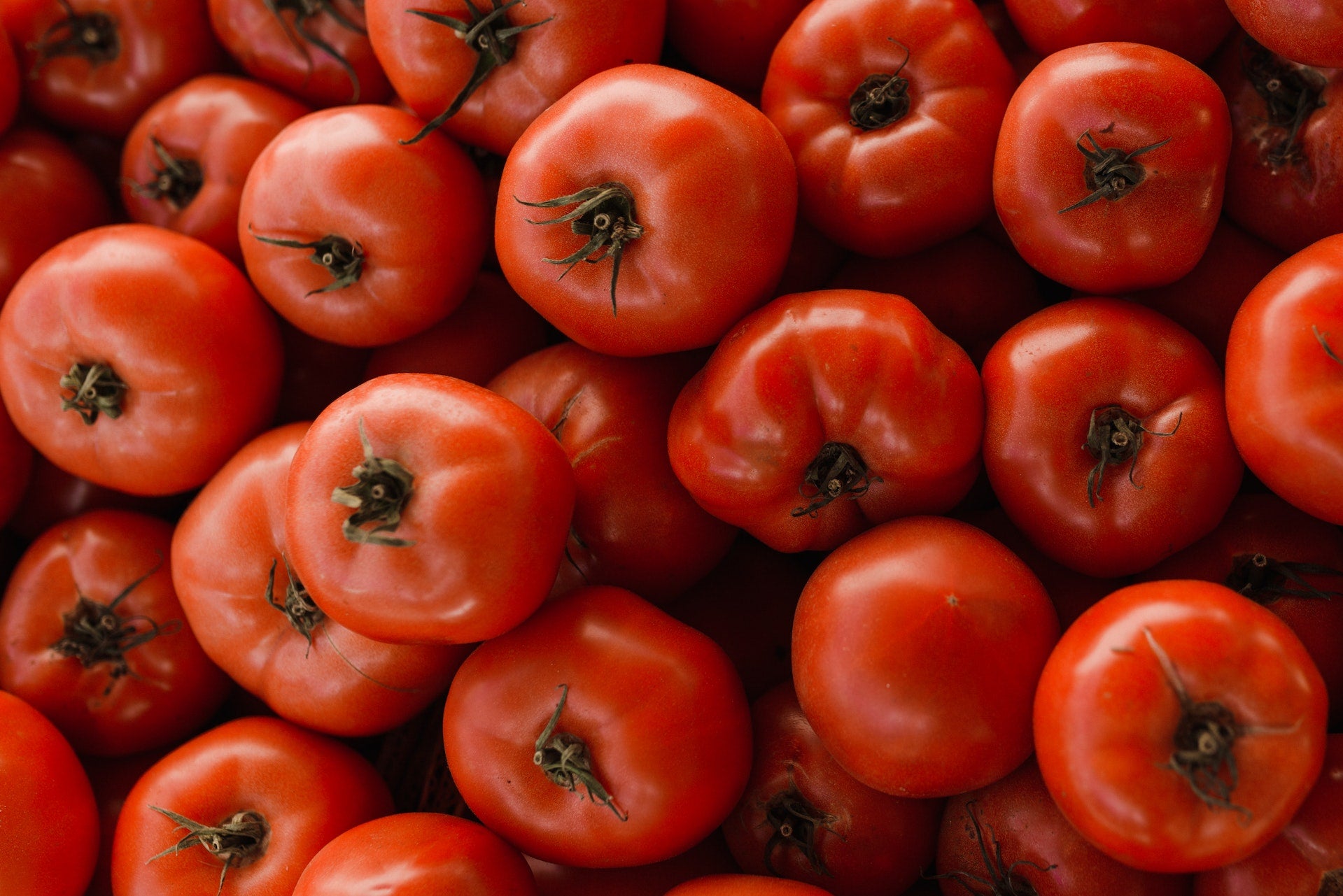 Beefsteak Tomatoes: The Juicy Giants of the Garden