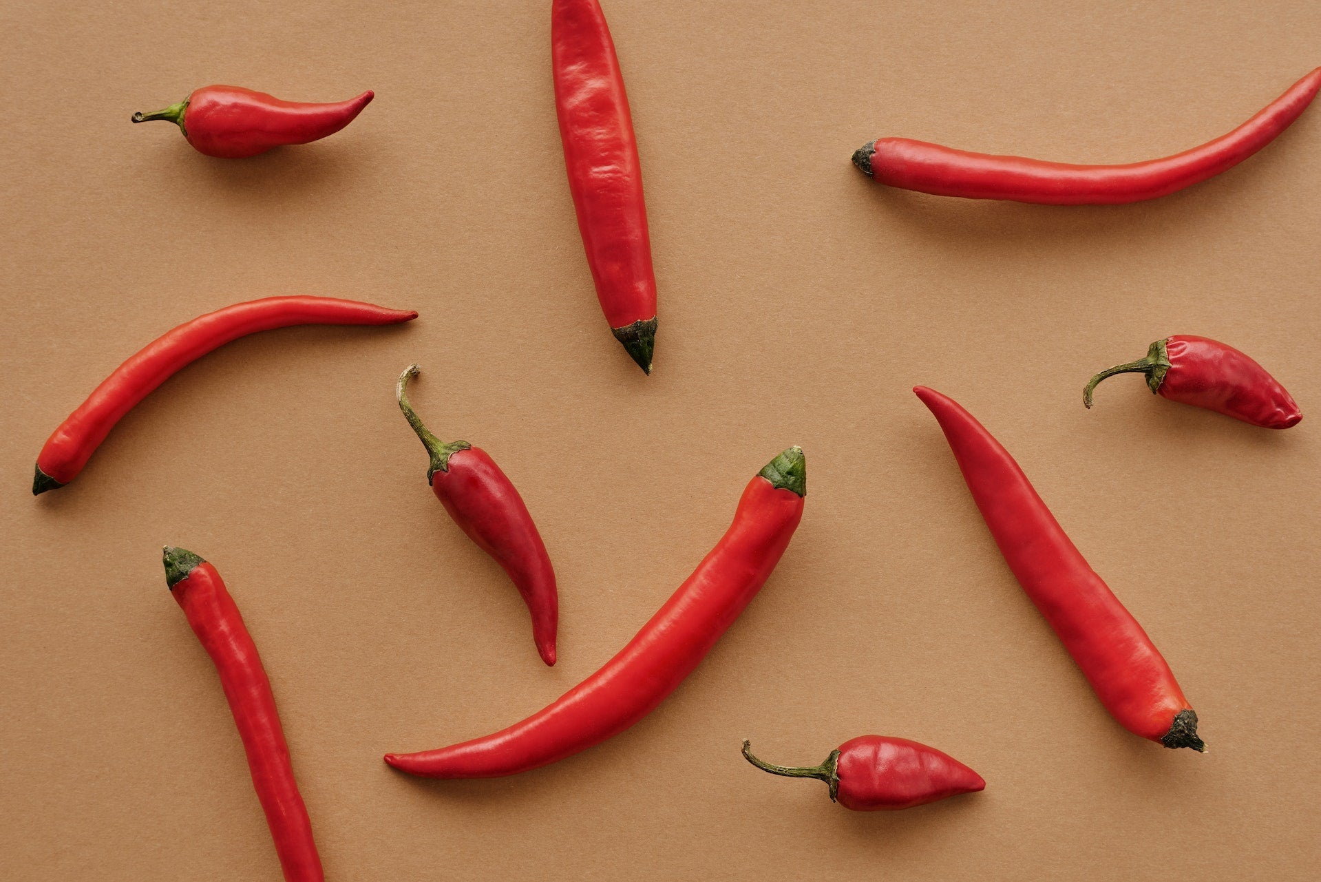The Spicy Chronicles: A Hilarious Guide to Mastering Chili Pepper Care