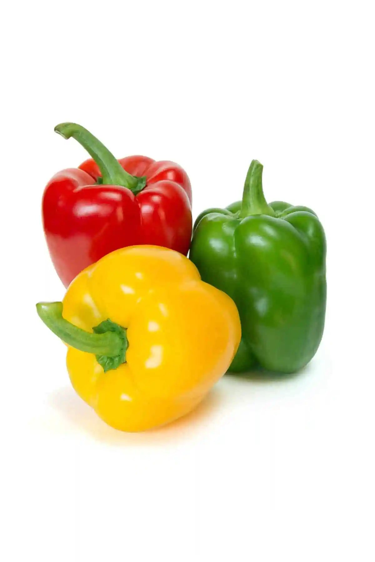 Sweet Bell Peppers are the most popular peppers for growing and cooking. his variety is a small version of the grocery store standard, it is easy
